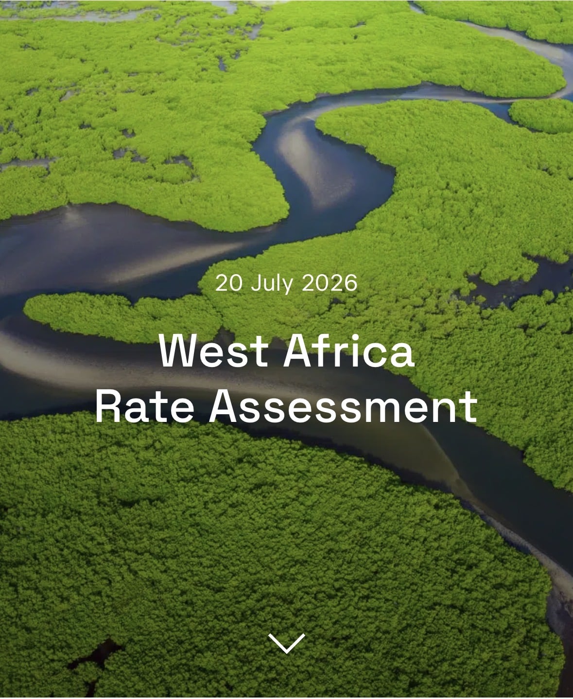 West Africa Shipping Rates: What the Market is Telling Us